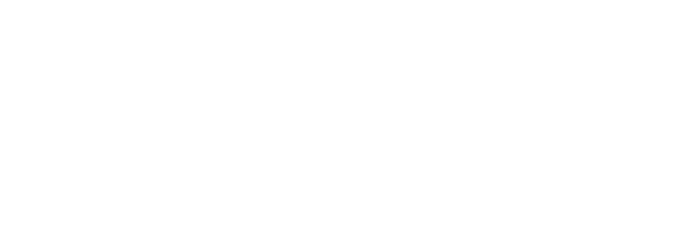 BIM development
