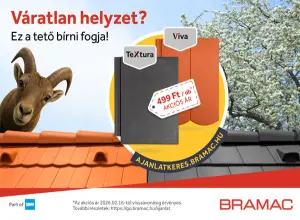 Ez a tető bírni fogja!